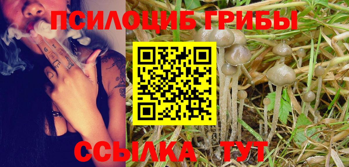 Галлюциногенные грибы Magic Shrooms  Псилоцибиновые грибы прущие грибы  Вход с VPN  Шали 